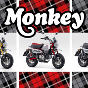 MONKEY