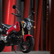 MSX125