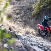 CRF450RX