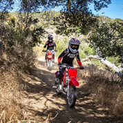 CRF110F