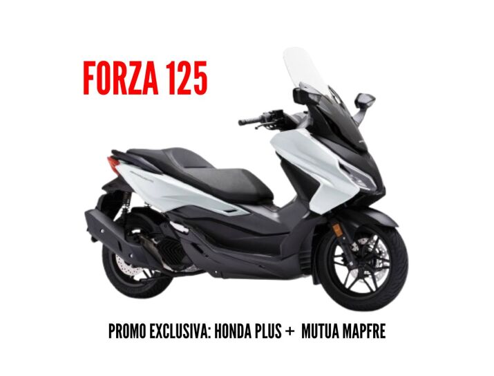 Assegura la teva Forza 125